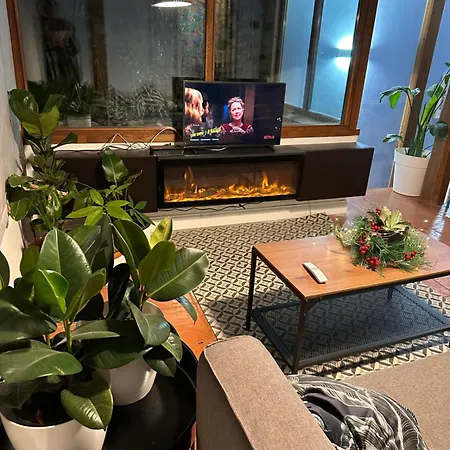 The Vatican Jungle Loft Con Giardino Vicino Al Vaticano * Рим