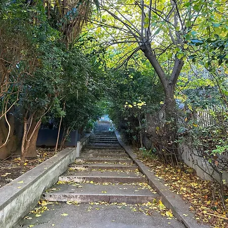 The Vatican Jungle Loft Con Giardino Vicino Al Vaticano شقة *