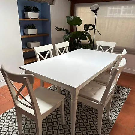 The Vatican Jungle Loft Con Giardino Vicino Al Vaticano شقة روما