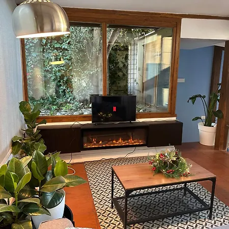The Vatican Jungle Loft Con Giardino Vicino Al Vaticano Apartmán Řím